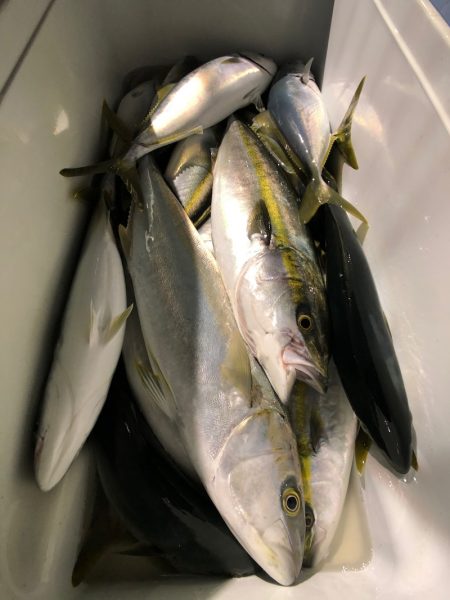 第二八坂丸 釣果