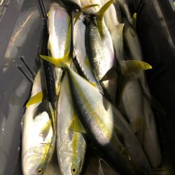 第二八坂丸 釣果