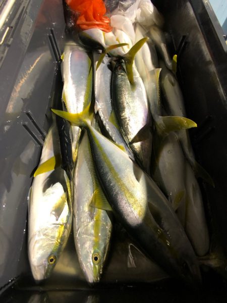 第二八坂丸 釣果