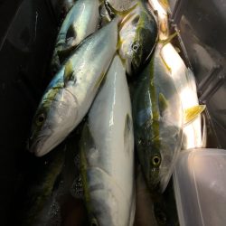 第二八坂丸 釣果