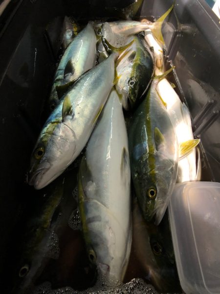 第二八坂丸 釣果