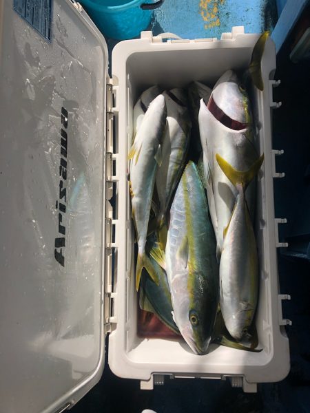 ヤザワ渡船 釣果