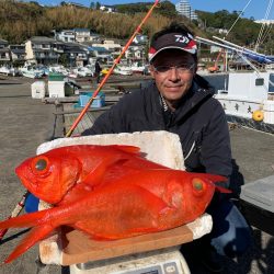 晃山丸 釣果