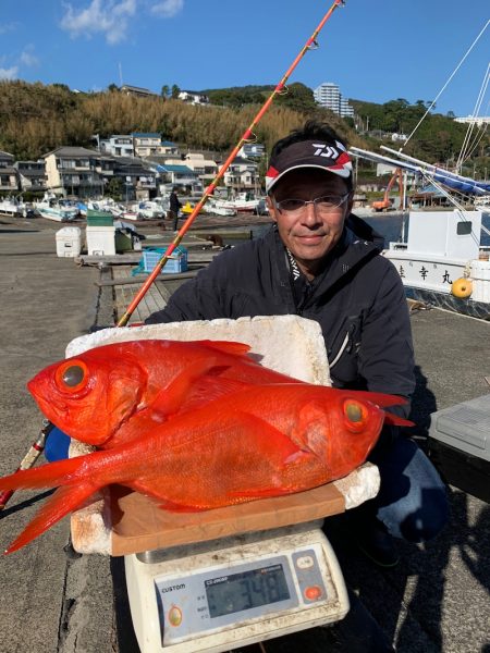 晃山丸 釣果