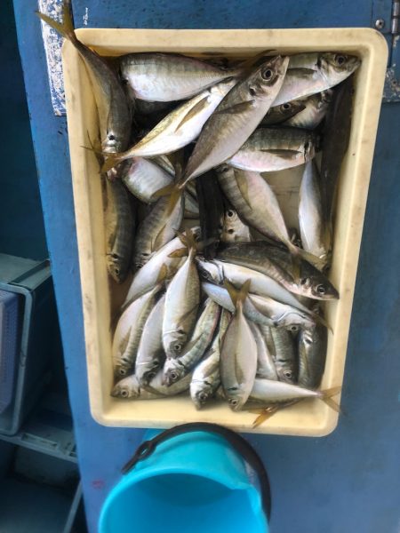 ヤザワ渡船 釣果