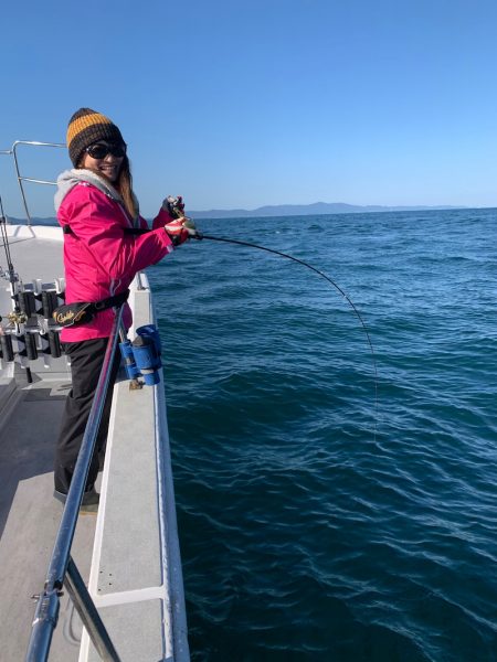 SeaRide(シーライド) 釣果