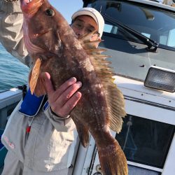 フィッシング キッタカ 釣果