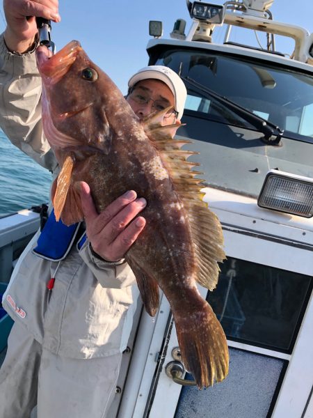 フィッシング キッタカ 釣果