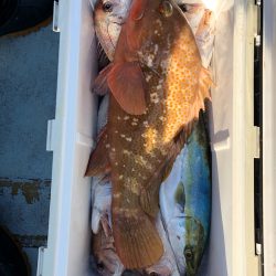 フィッシング キッタカ 釣果