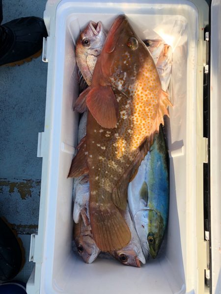 フィッシング キッタカ 釣果