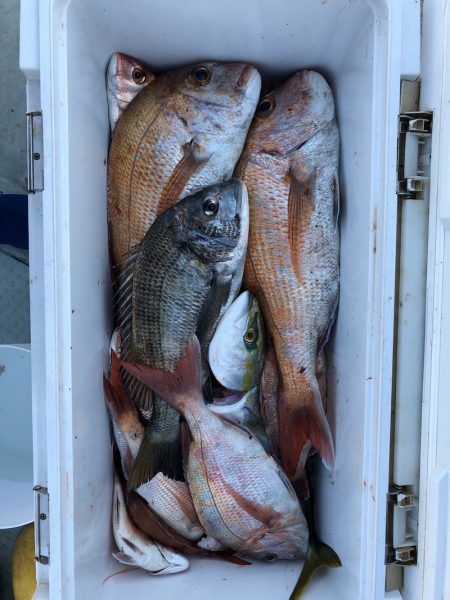 フィッシング キッタカ 釣果