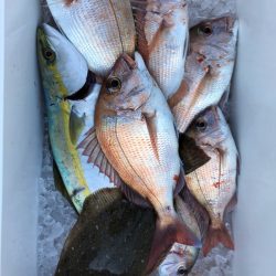 フィッシング キッタカ 釣果