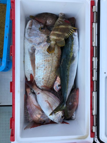 フィッシング キッタカ 釣果