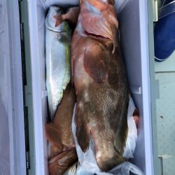 フィッシング キッタカ 釣果