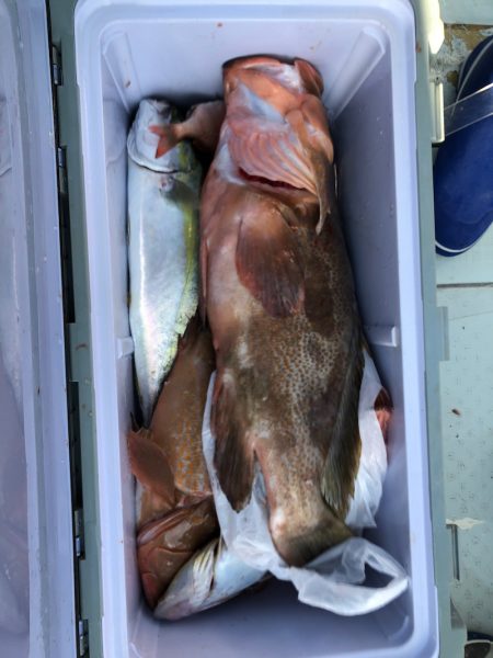 フィッシング キッタカ 釣果