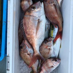 フィッシング キッタカ 釣果