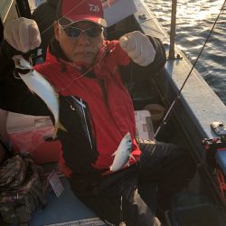 ヤザワ渡船 釣果