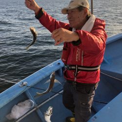 ヤザワ渡船 釣果