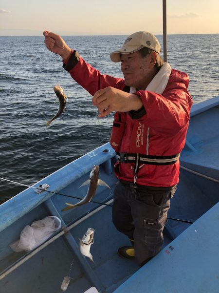 ヤザワ渡船 釣果