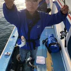 ヤザワ渡船 釣果