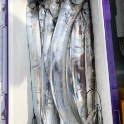 フィッシング キッタカ 釣果