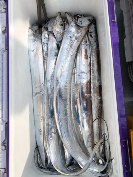 フィッシング キッタカ 釣果