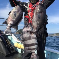 渡船屋たにぐち 釣果