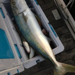 「LaGooN」蒼陽丸 日和号 釣果