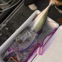 「LaGooN」蒼陽丸 日和号 釣果