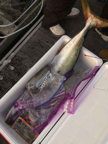 「LaGooN」蒼陽丸 日和号 釣果