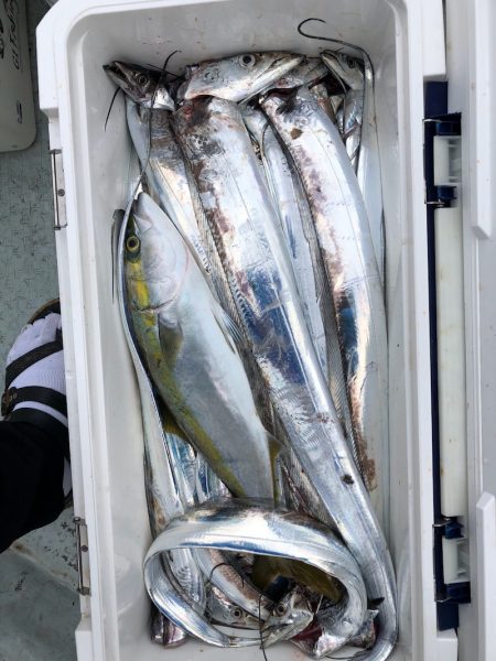 フィッシング キッタカ 釣果