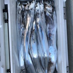 フィッシング　キッタカ 釣果