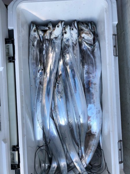 フィッシング　キッタカ 釣果