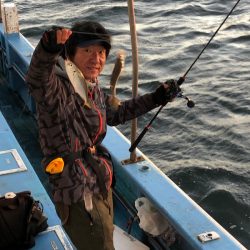 ヤザワ渡船 釣果