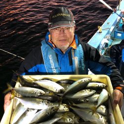 ヤザワ渡船 釣果