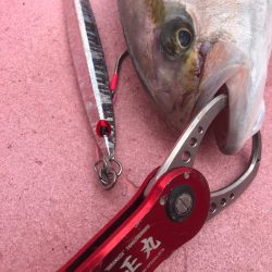 山正丸 釣果