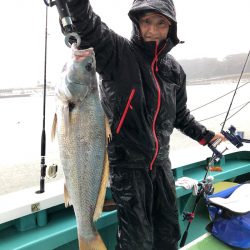丸万釣船 釣果