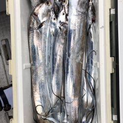 フィッシング キッタカ 釣果