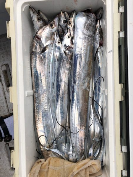 フィッシング キッタカ 釣果