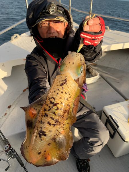 エヌスタイル 釣果