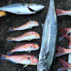 あみや渡船 JIGBOY 釣果