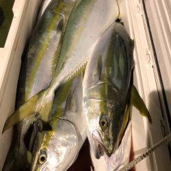 第二八坂丸 釣果