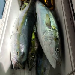 第二八坂丸 釣果