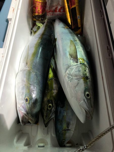 第二八坂丸 釣果