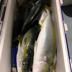 第二八坂丸 釣果