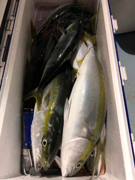 第二八坂丸 釣果