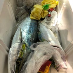 第二八坂丸 釣果