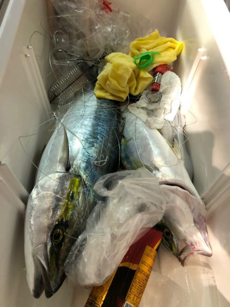 第二八坂丸 釣果