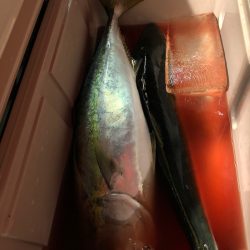 第二八坂丸 釣果