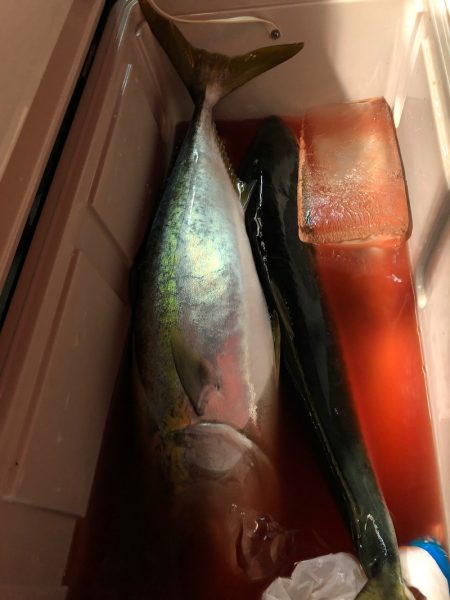 第二八坂丸 釣果